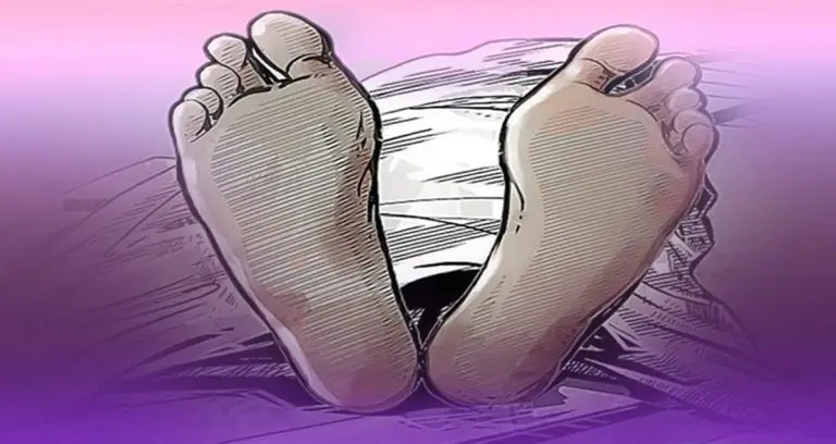 मृत अवस्थामा फेला