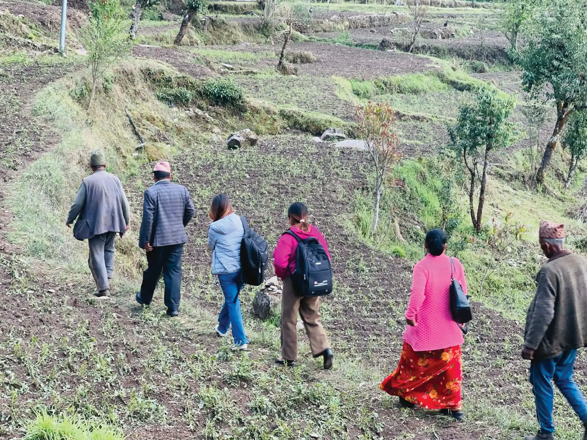 असिनापानीले लाखौंको आलुखेतीमा क्षति
